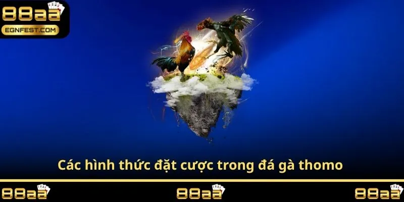 Các hình thức đặt cược trong đá gà thomo