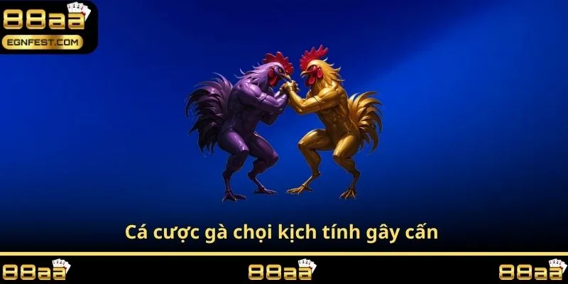 Cá cược gà chọi kịch tính gây cấn