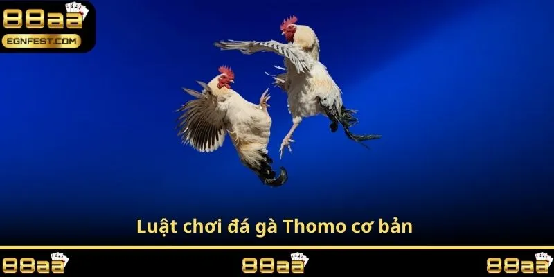Luật chơi đá gà Thomo cơ bản