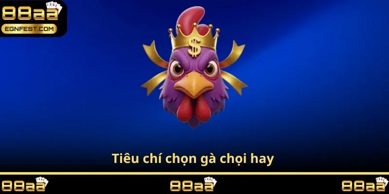 Tiêu chí chọn gà chọi hay